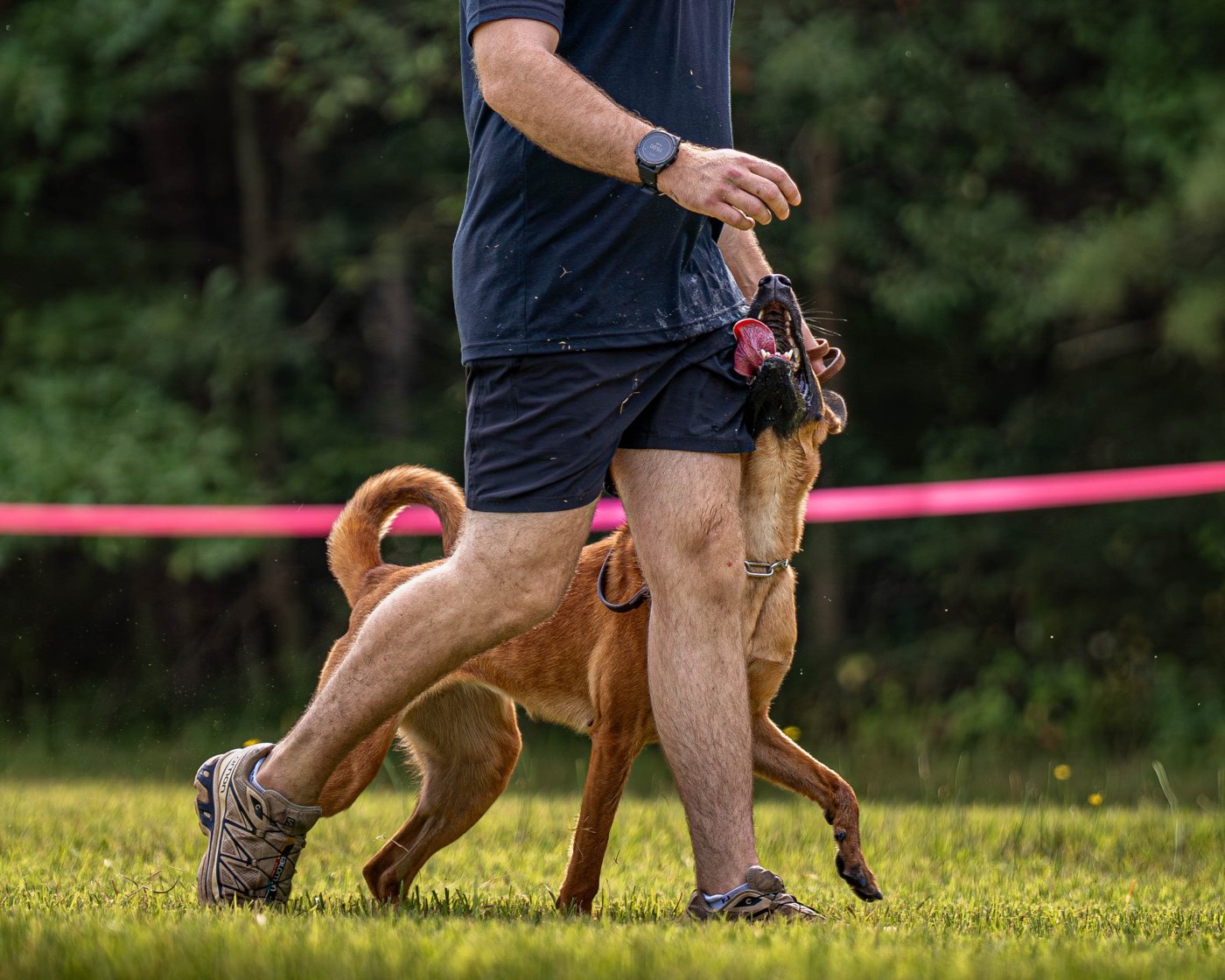 Handler-Only Sessions