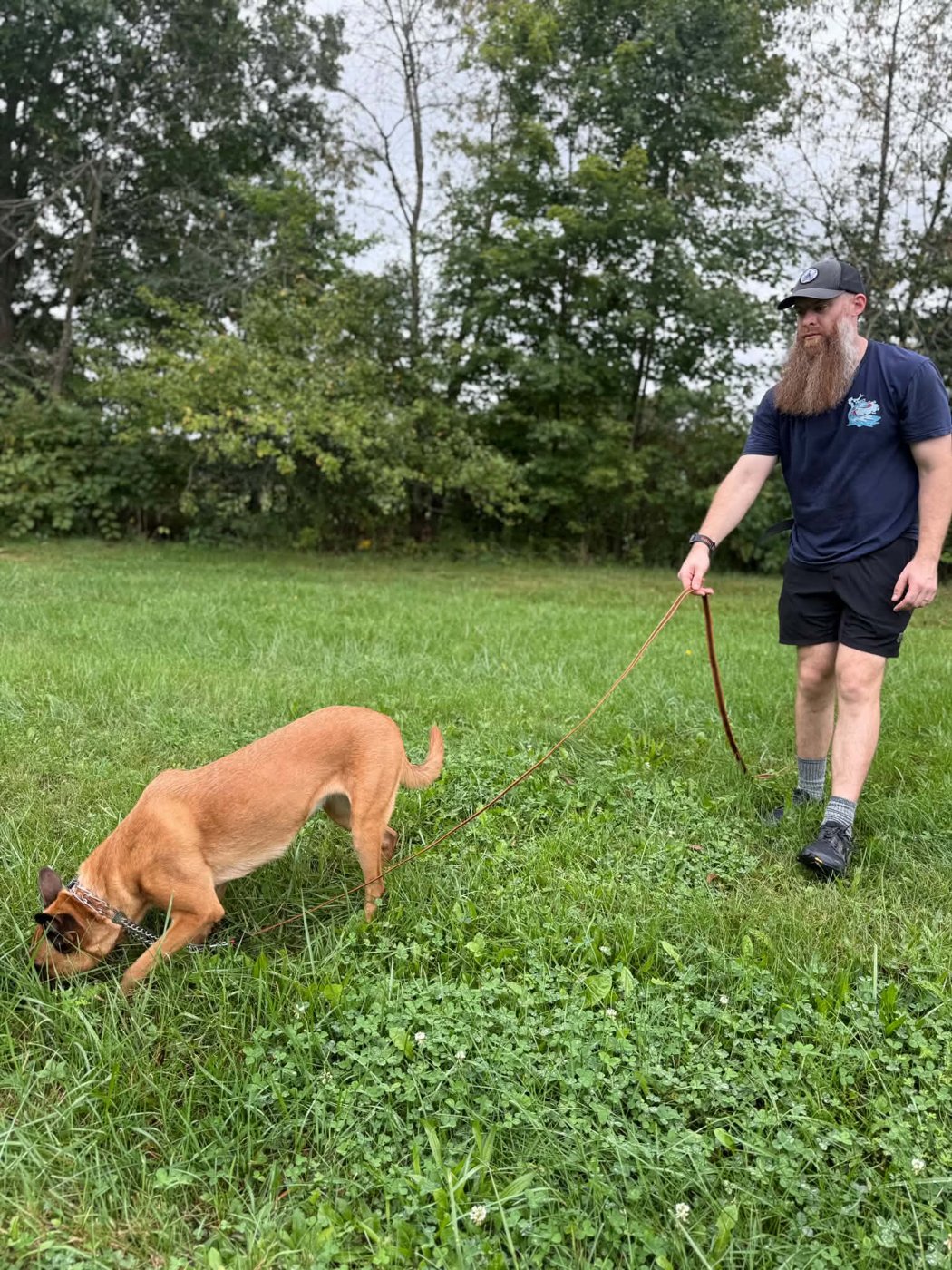 Tracking and Scent Detection